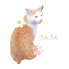 nagi_20250226144107