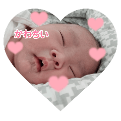 hikaru_20250226170624