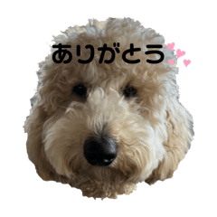 mayu_20250226172452