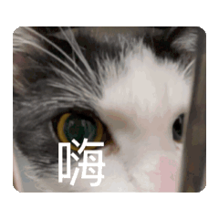 快樂逼波