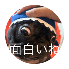 AO_20250226160744