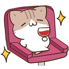 moving unmotivated calico cat day2