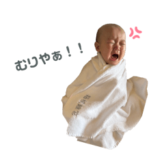 senA_20250226193350