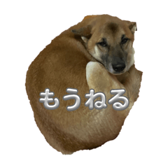 Yamada_20250226194942