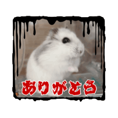 Yuki_20250226182513