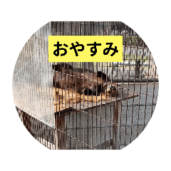 tori7