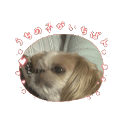mana_20250226220156