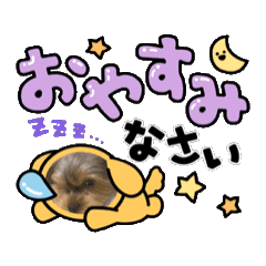 arisa_20250226223403