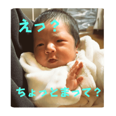 Taro_20250226185614
