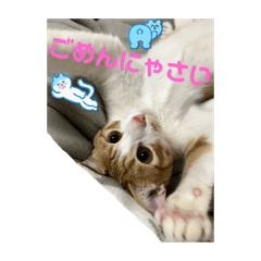 en_20250226185925