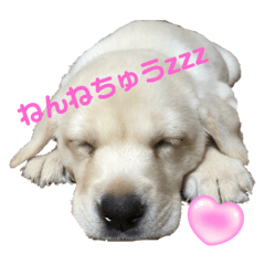 umi_20250226190434