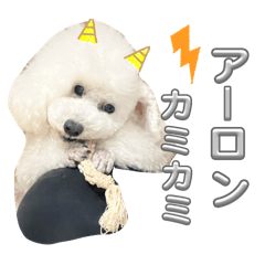 arisa_20250226212744