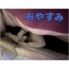 yamazaki_20250226213018