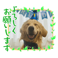 risa_20250226220015