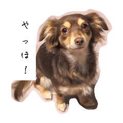 tomo_20250227010810