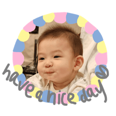 tintin 1 year