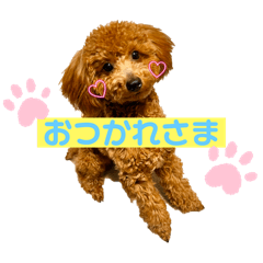 MEI_20250227001225