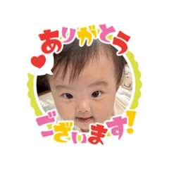 shiho_20250227102435