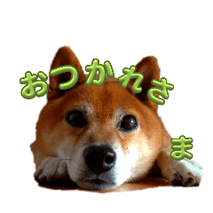 choco_20250227100237