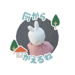 mikan_20250227103215