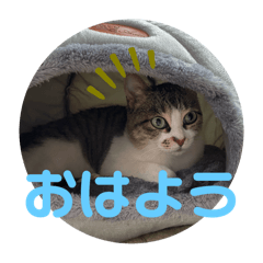 haru_20250226221521