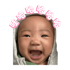 我是一顆可愛貢丸.