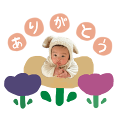 koba_20250227123015