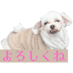 Yamada_20250227081239