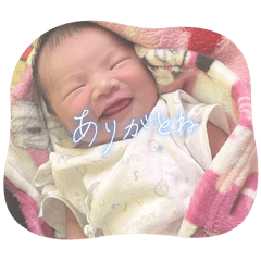 kana_2025022712475