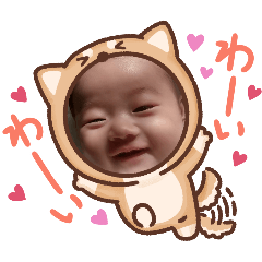 aoi_20250227130513