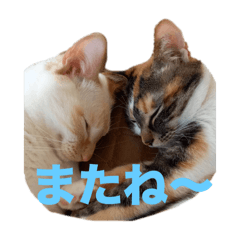 Kasumi_20250227094058