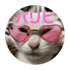 Neko_20250226211301