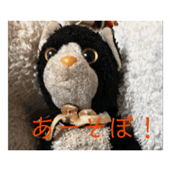 nina_20250227103538