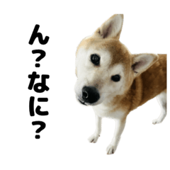 valleyWhite_20250227101810