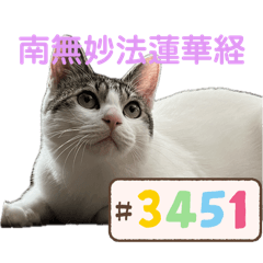 rina_20250227142048