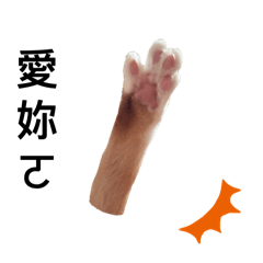 亮亮寶貝愛說話