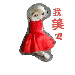 一起來學數學