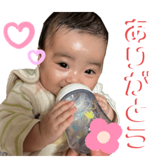 wai_20250227143945