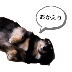 D_20250227150709