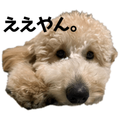 mayu_20250227150639