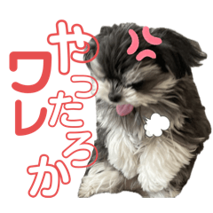rurumaru.