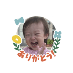 MOMO_20250227154836