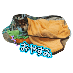 hina_20250227155347