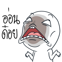 Round white head DukDukDikDik.