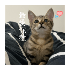 阿啵啵2