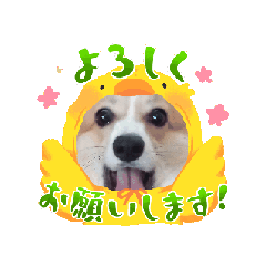 ma_20250227210037