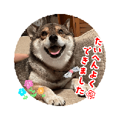 hina_20250227162126