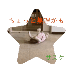 YUMI20250227210632