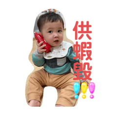 我最可愛哦哦哦
