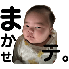 Taro_20250227161134